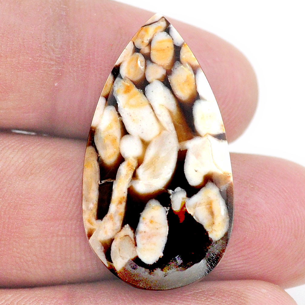 Natural 18.10cts peanut petrified wood fossil 31x17 mm loose gemstone s23230