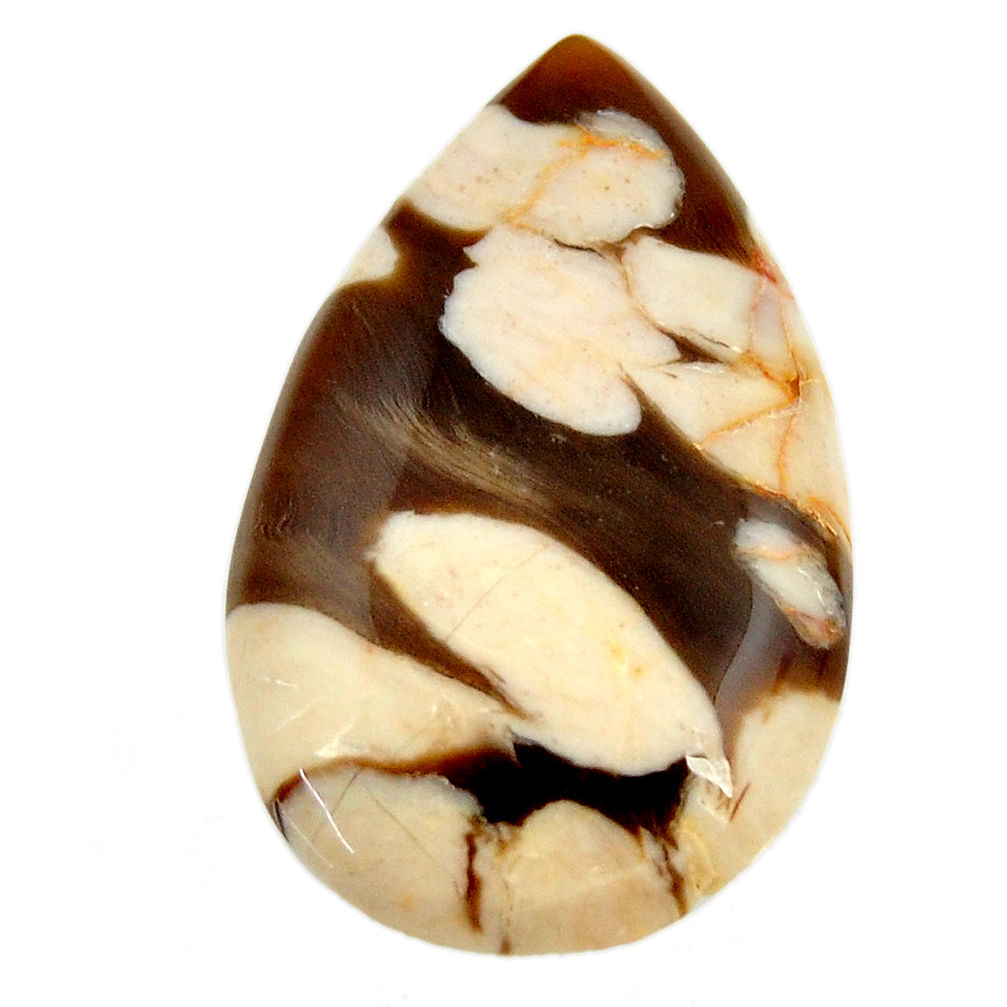 Natural 20.15cts peanut petrified wood fossil 31x20mm pear loose gemstone s17130
