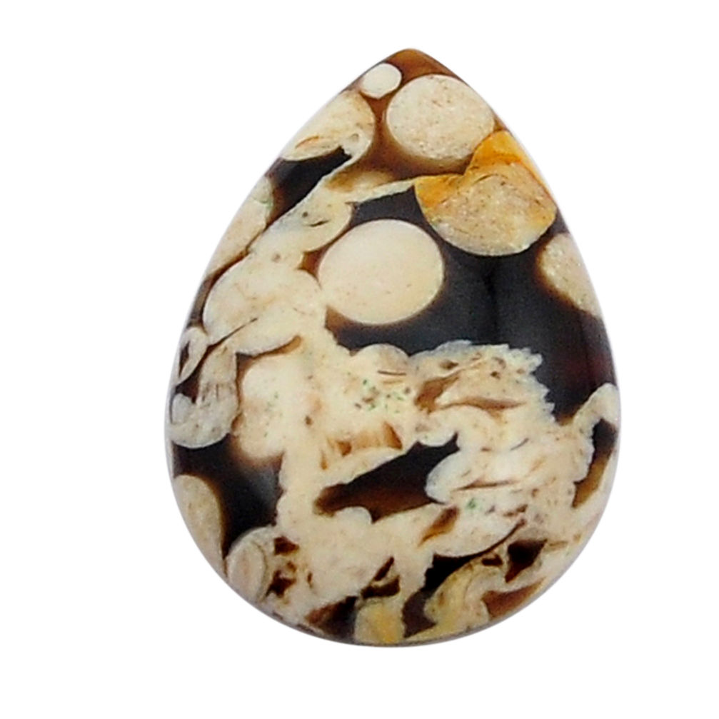 Natural 22.15cts peanut petrified wood fossil 31x21mm pear loose gemstone s29946