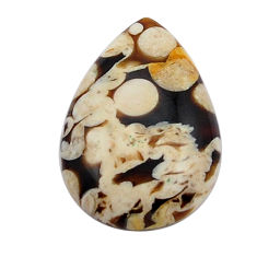 Natural 22.15cts peanut petrified wood fossil 31x21mm pear loose gemstone s29946