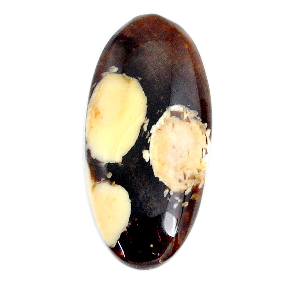 Natural 21.30cts peanut petrified wood fossil 32x15mm oval loose gemstone s21198