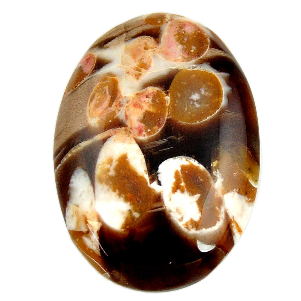 Natural 31.15cts peanut petrified wood fossil 32x22.5 mm loose gemstone s17146
