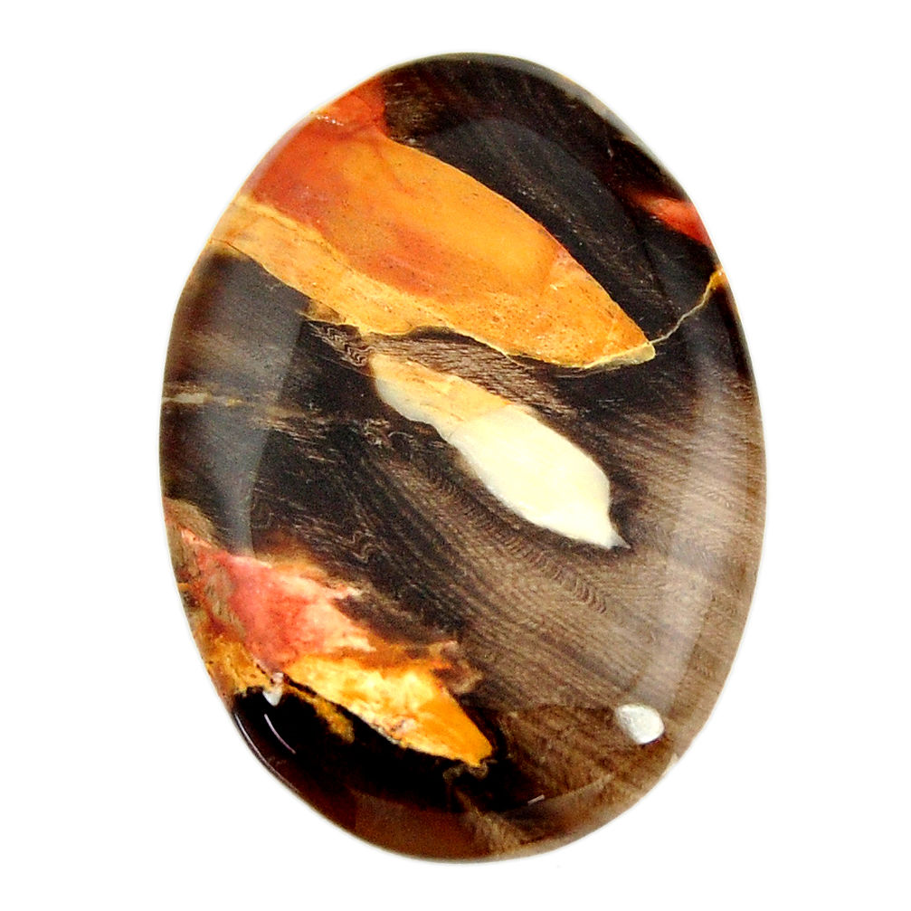  peanut petrified wood fossil 33x23mm oval loose gemstone s17122