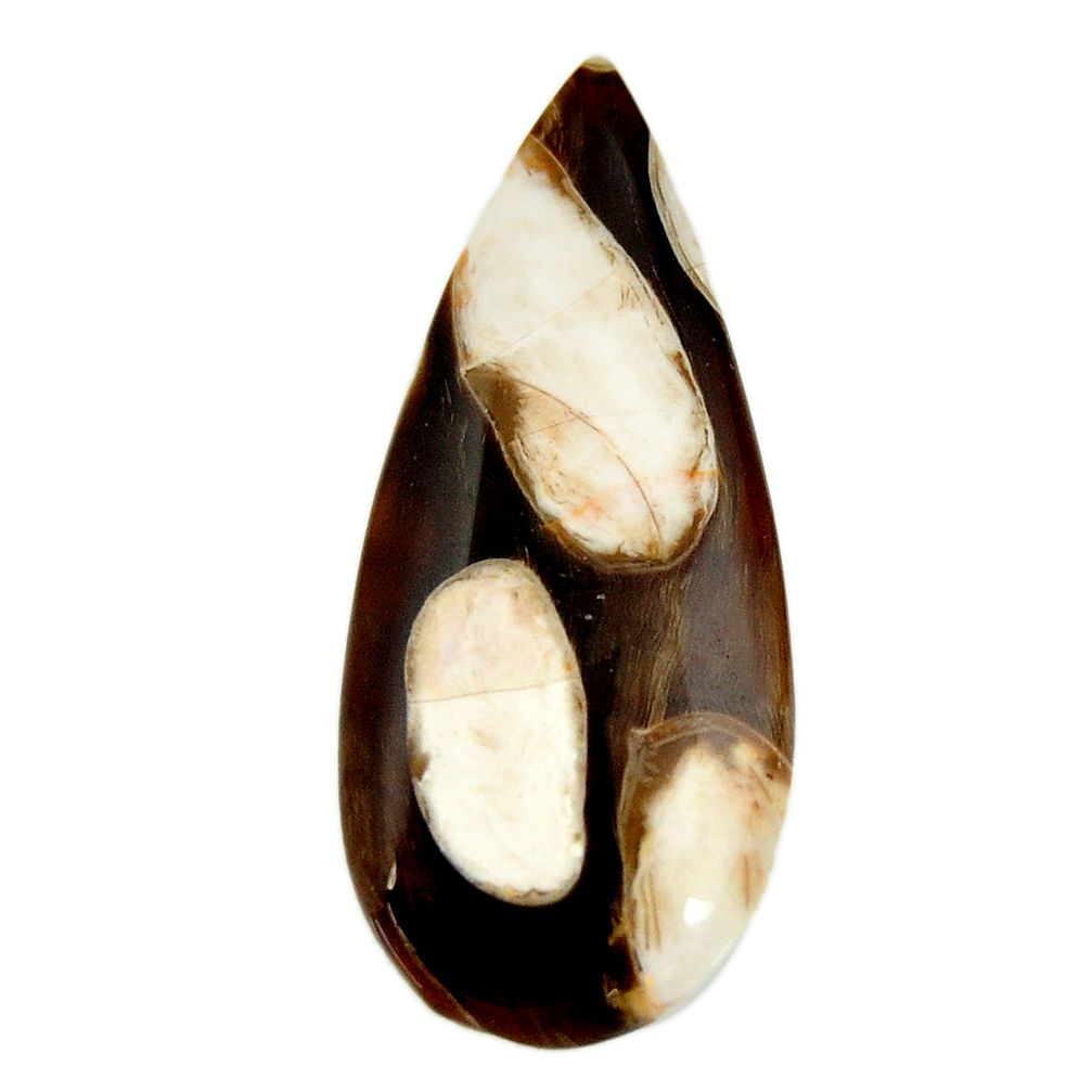 Natural 18.45cts peanut petrified wood fossil 36x15mm pear loose gemstone s17148