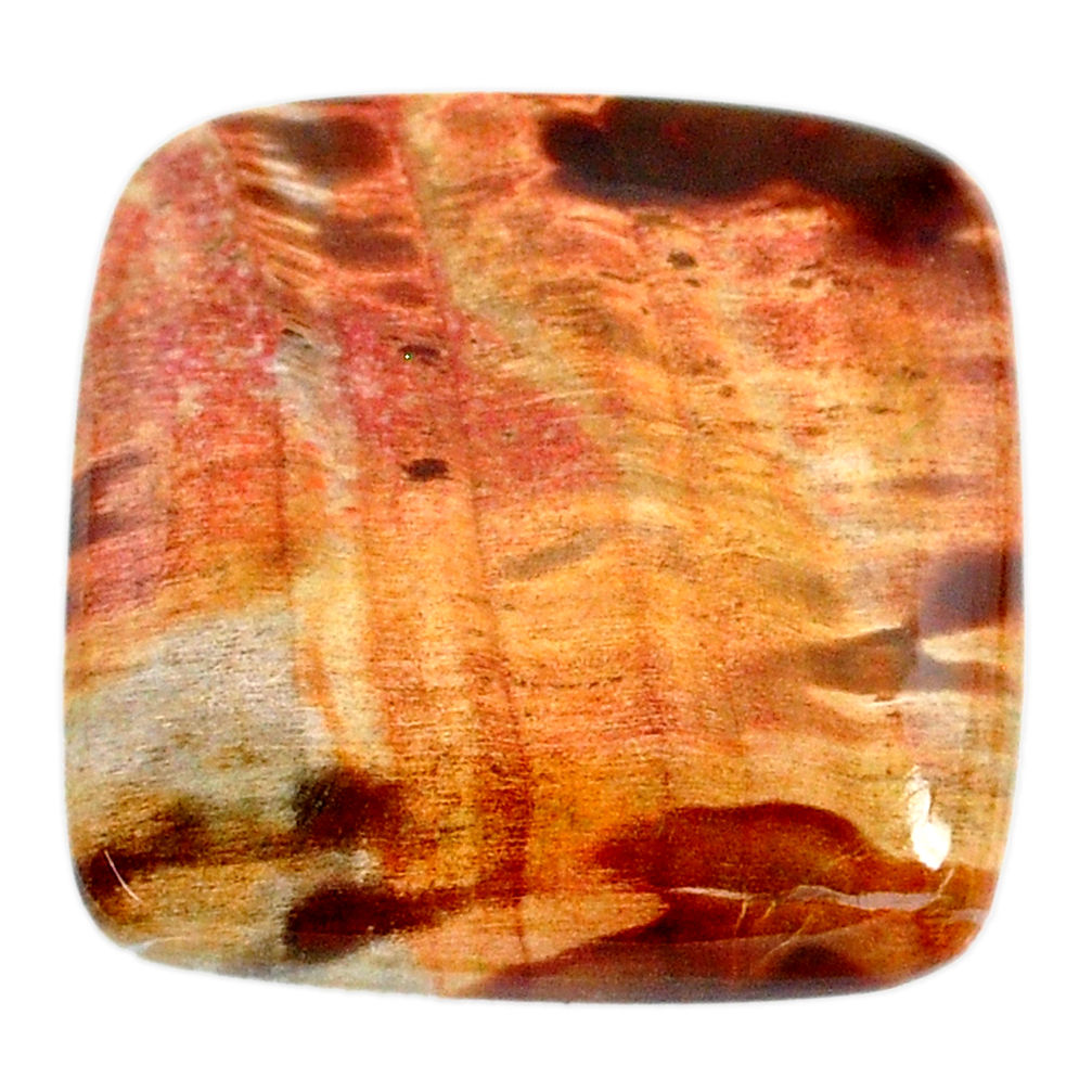 Natural 55.10cts petrified wood fossil brown 30x30 mm loose gemstone s20808