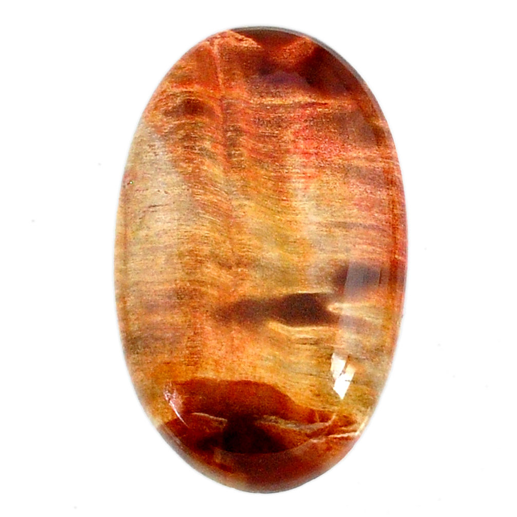 Natural 30.35cts petrified wood fossil brown 32x19 mm oval loose gemstone s20809
