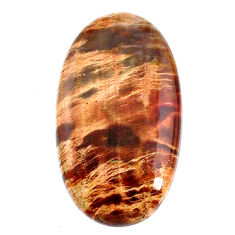 Natural 29.35cts petrified wood fossil brown 33.5x19 mm loose gemstone s20813