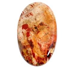 Natural 45.10cts petrified wood fossil brown 38x22.5 mm loose gemstone s20815
