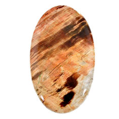 Natural 40.20cts petrified wood fossil brown 41x24 mm oval loose gemstone s20819