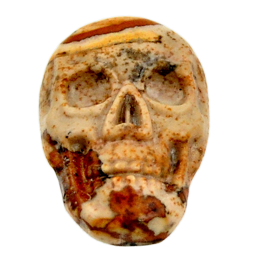 Natural 7.40cts picture jasper brown 17.5x12 mm skull loose gemstone s18220