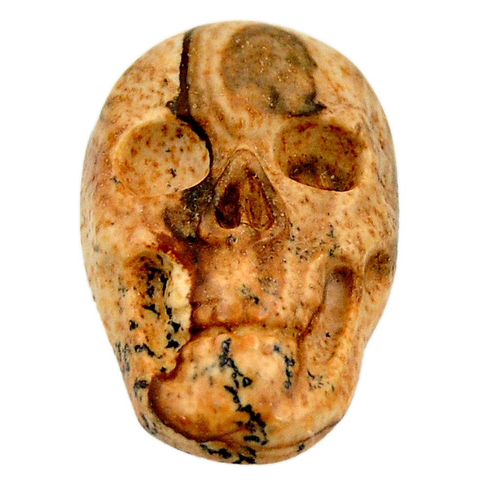 Natural 13.45cts picture jasper brown 22.5x15 mm skull loose gemstone s18102