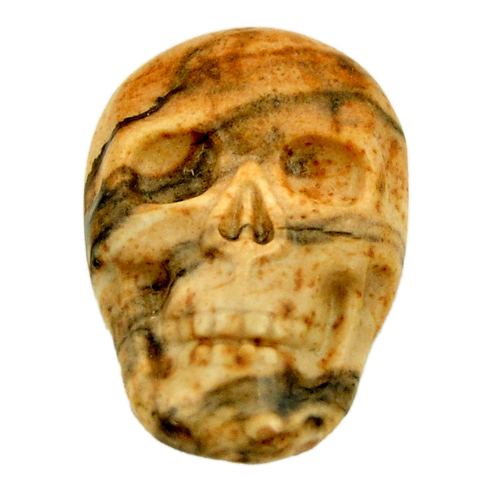 Natural 12.40cts picture jasper brown 22.5x15 mm skull loose gemstone s18106