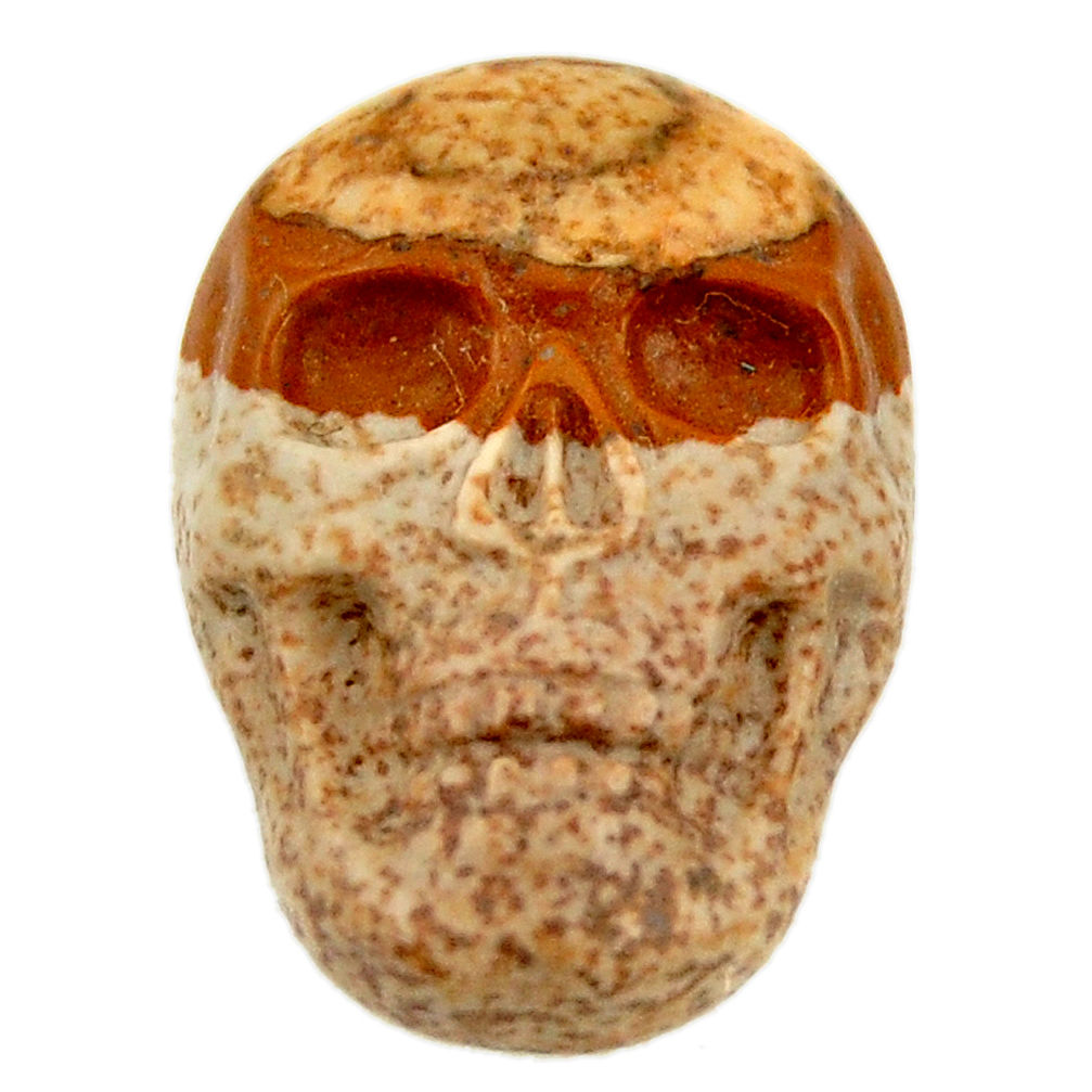 Natural 13.45cts picture jasper brown 22.5x15.5 mm skull loose gemstone s18107