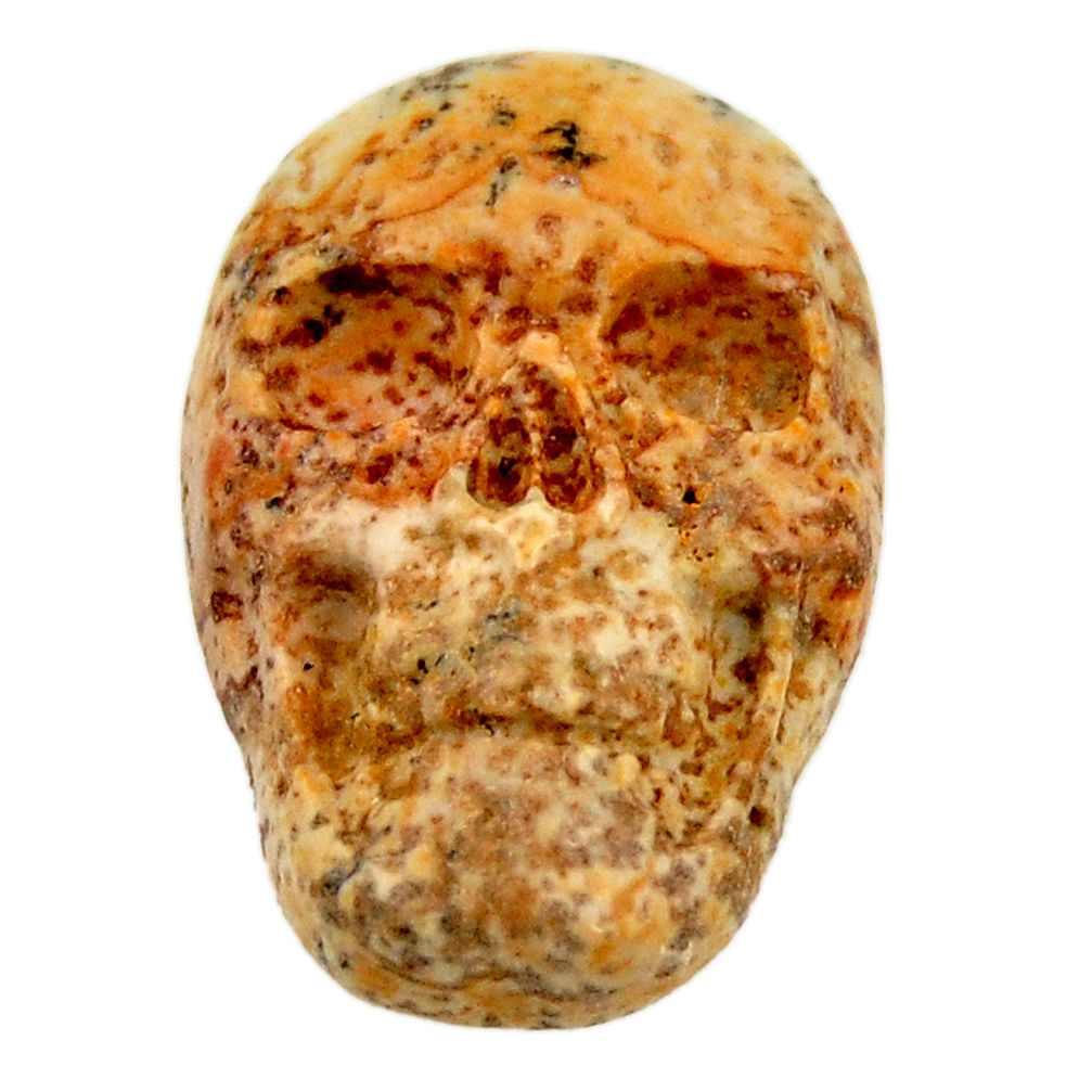 Natural 13.45cts picture jasper brown 22x15 mm fancy skull loose gemstone s18101