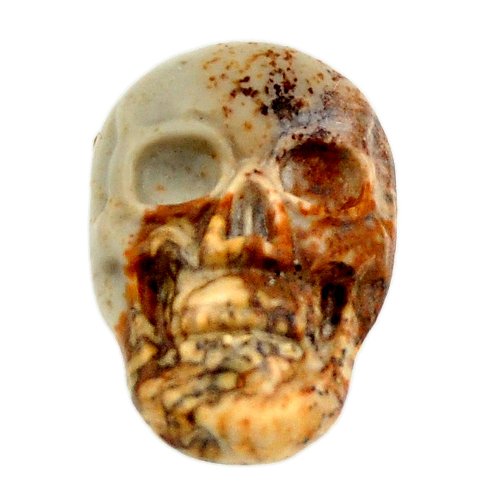 Natural 8.45cts picture jasper brown carving 18x12mm skull loose gemstone s18203