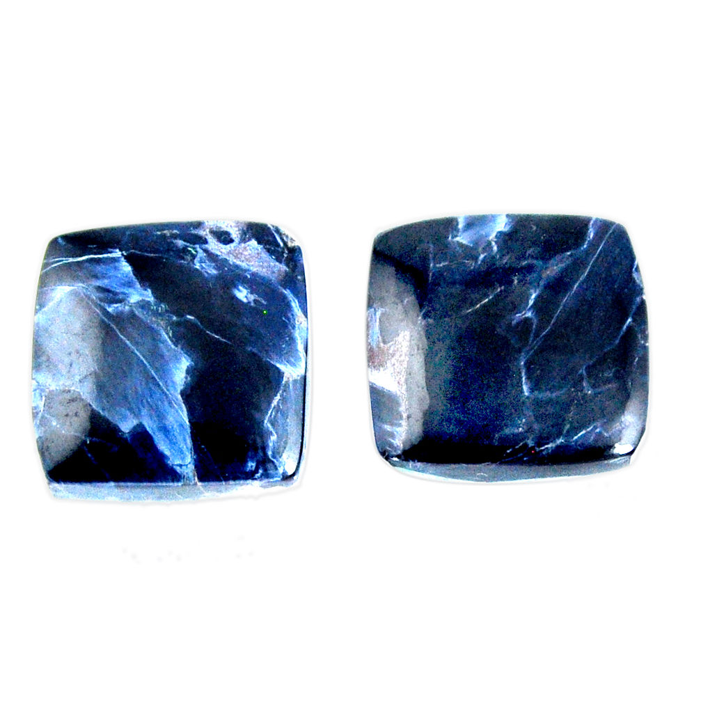 Natural 23.15cts pietersite (african) black 15x15 mm pair loose gemstone s19546