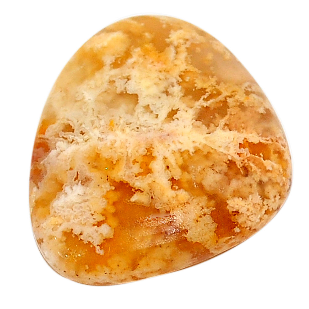 Natural 17.35cts plume agate yellow cabochon 22x19mm fancy loose gemstone s22853