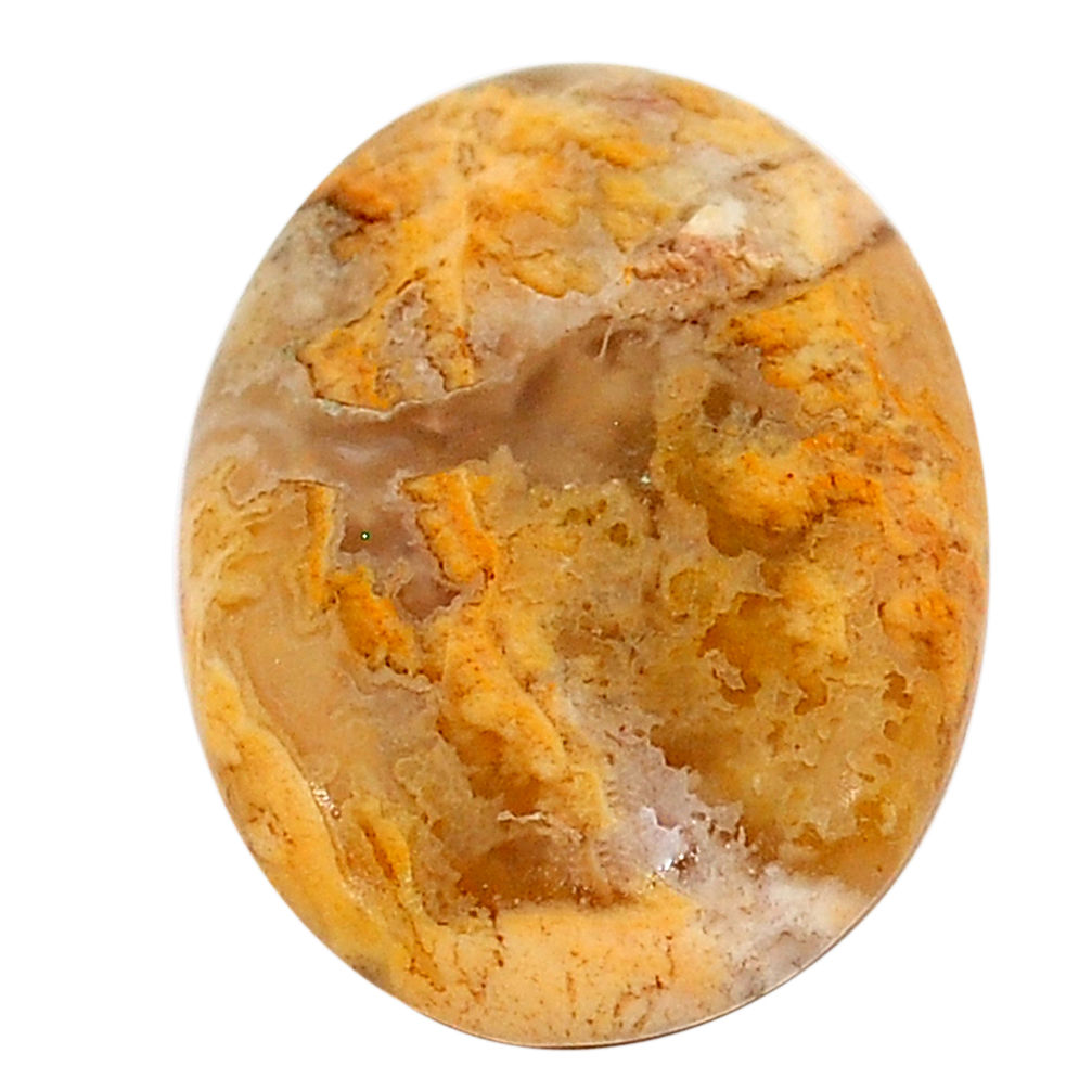 Natural 17.40cts plume agate yellow cabochon 24x18 mm oval loose gemstone s22851