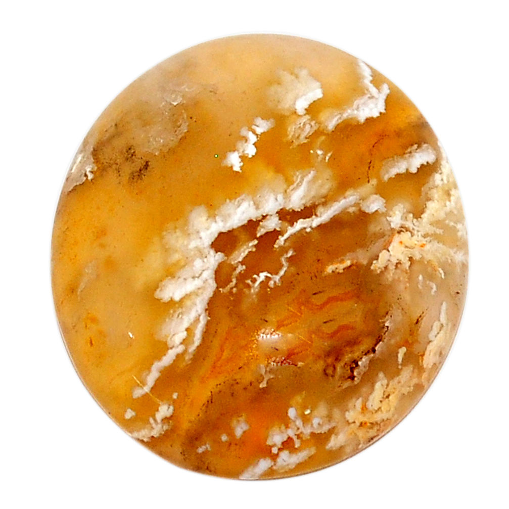 Natural 23.45cts plume agate yellow cabochon 24x21 mm oval loose gemstone s22855