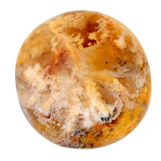 Natural 25.15cts plume agate yellow cabochon 24x21mm round loose gemstone s22850