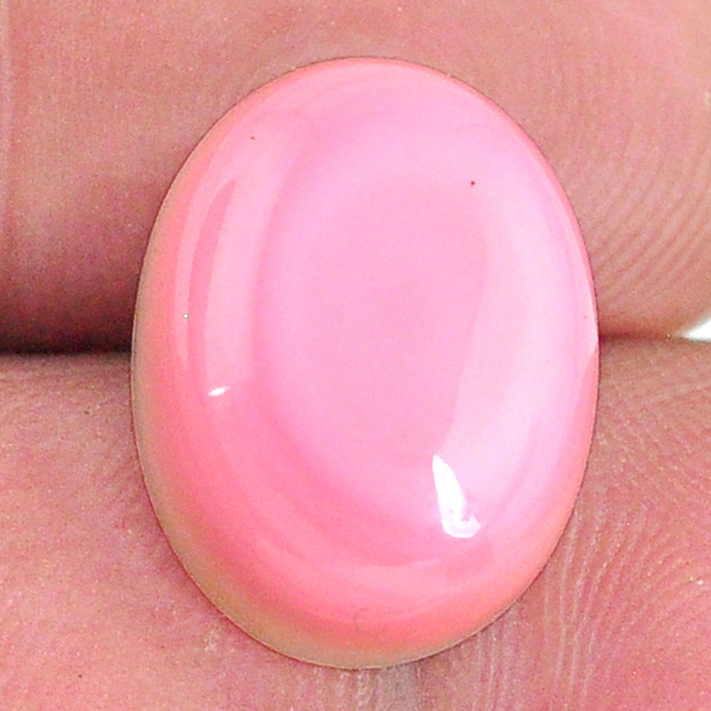 Natural 12.40cts queen conch shell pink cabochon 16x12 mm loose gemstone s20121
