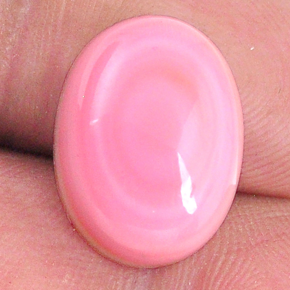 Natural 12.35cts queen conch shell pink cabochon 16x12 mm loose gemstone s20122