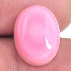 Natural 12.15cts queen conch shell pink cabochon 16x12 mm loose gemstone s20126