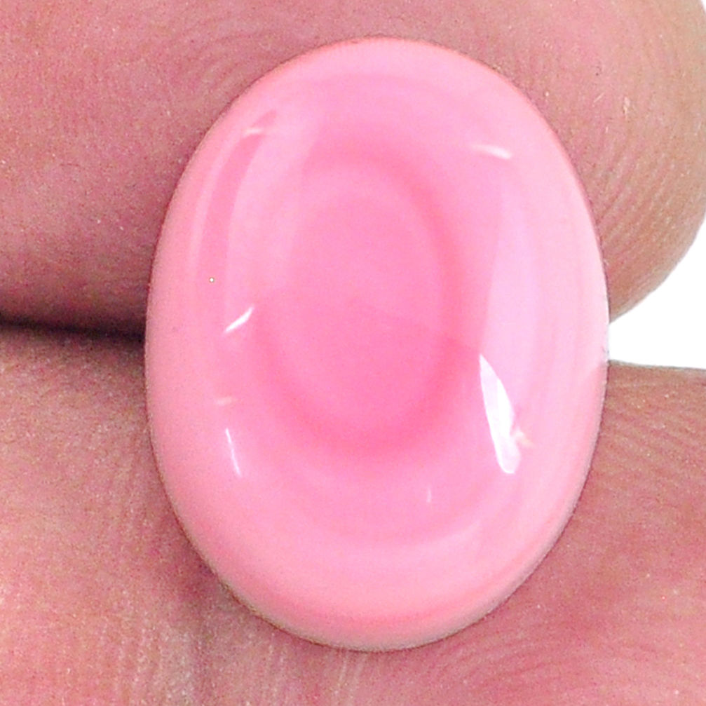 Natural 12.35cts queen conch shell pink cabochon 16x12 mm loose gemstone s20128