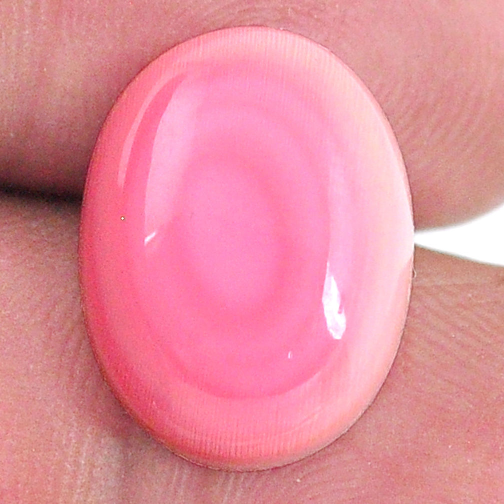 Natural 12.35cts queen conch shell pink cabochon 16x12 mm loose gemstone s20130