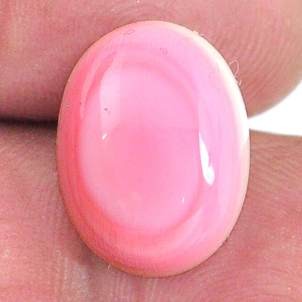 Natural 12.15cts queen conch shell pink cabochon 16x12 mm loose gemstone s20132