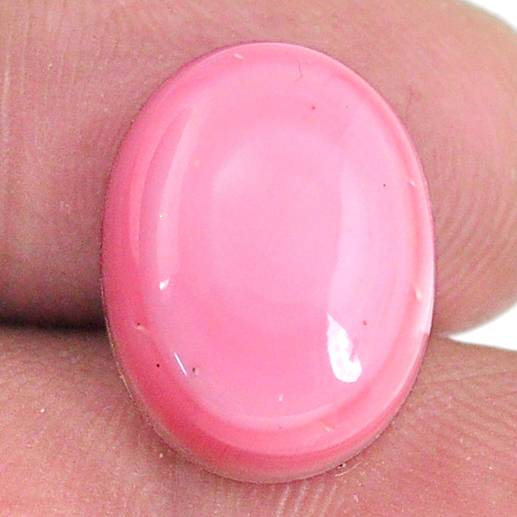 Natural 12.35cts queen conch shell pink cabochon 16x12 mm loose gemstone s20136