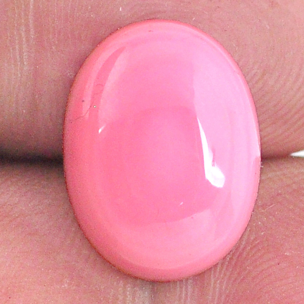 Natural 12.65cts queen conch shell pink cabochon 16x12 mm loose gemstone s20137