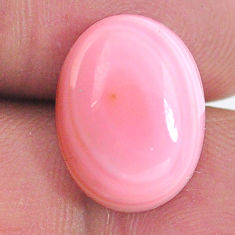 Natural 12.35cts queen conch shell pink cabochon 16x12 mm loose gemstone s20138