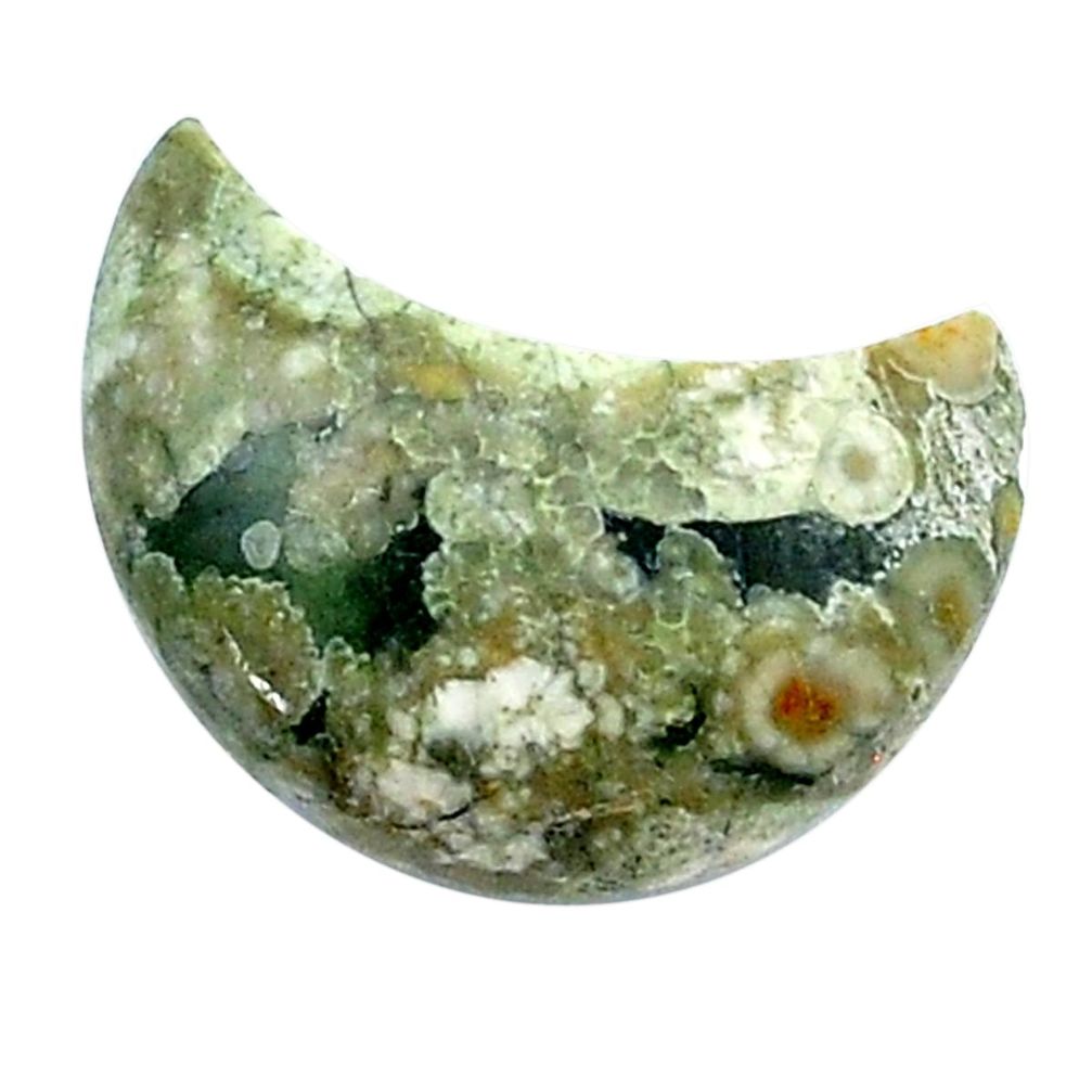 Natural 10.30cts rainforest rhyolite jasper 19x10 mm moon loose gemstone s26995