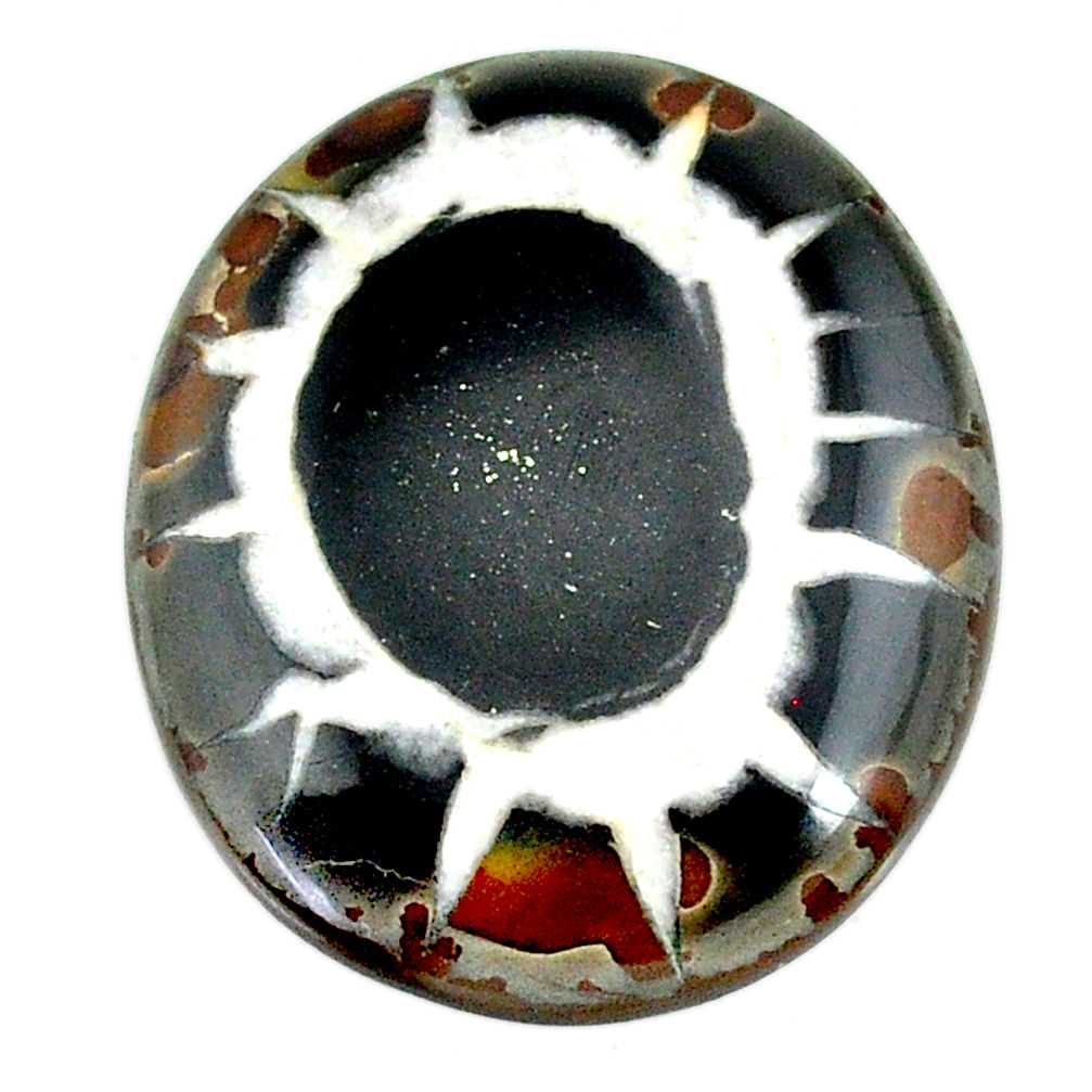 Natural 37.80cts septarian gonads black cabochon 31x26 mm loose gemstone s22503