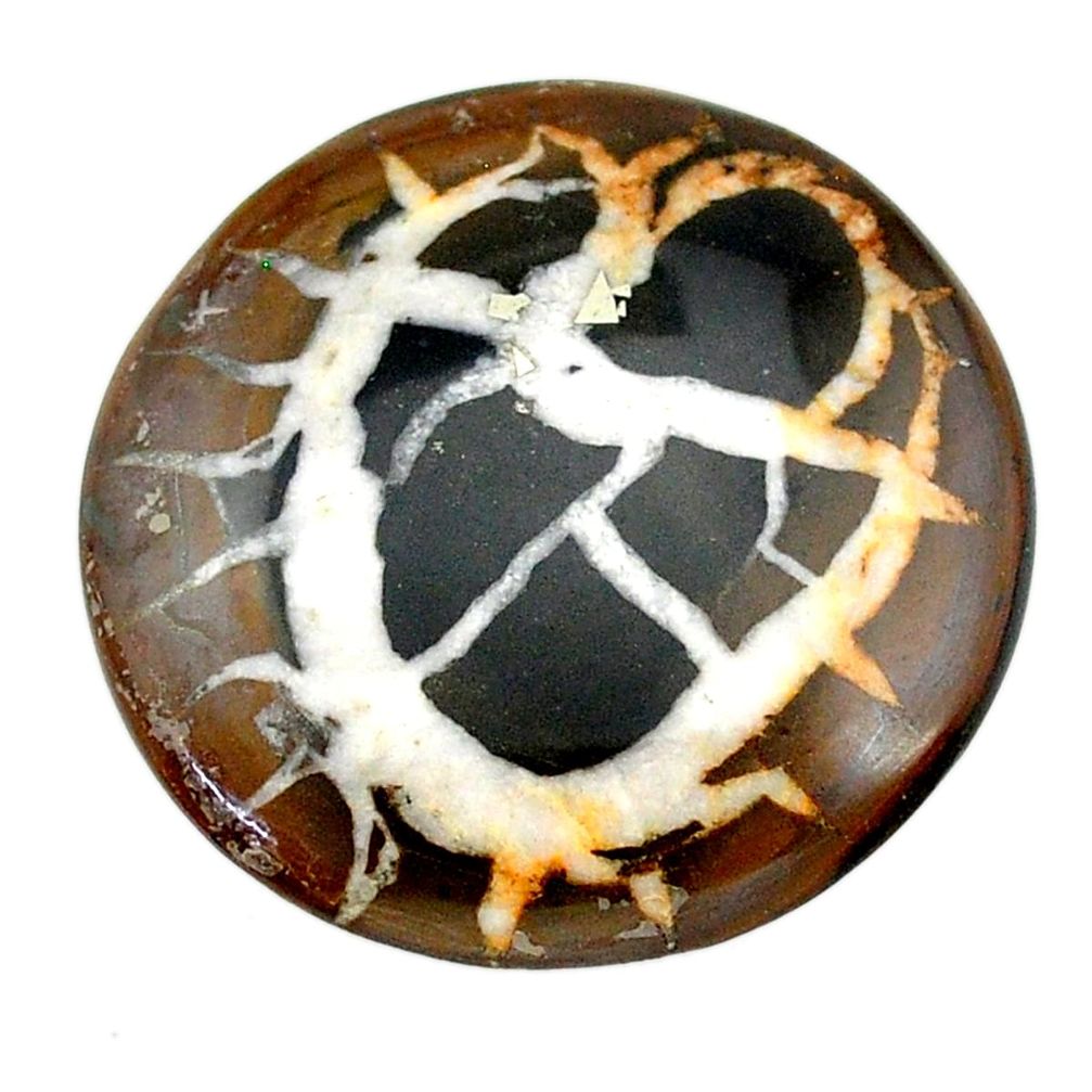 Natural 33.95cts septarian gonads black cabochon 31x31 mm loose gemstone s22518