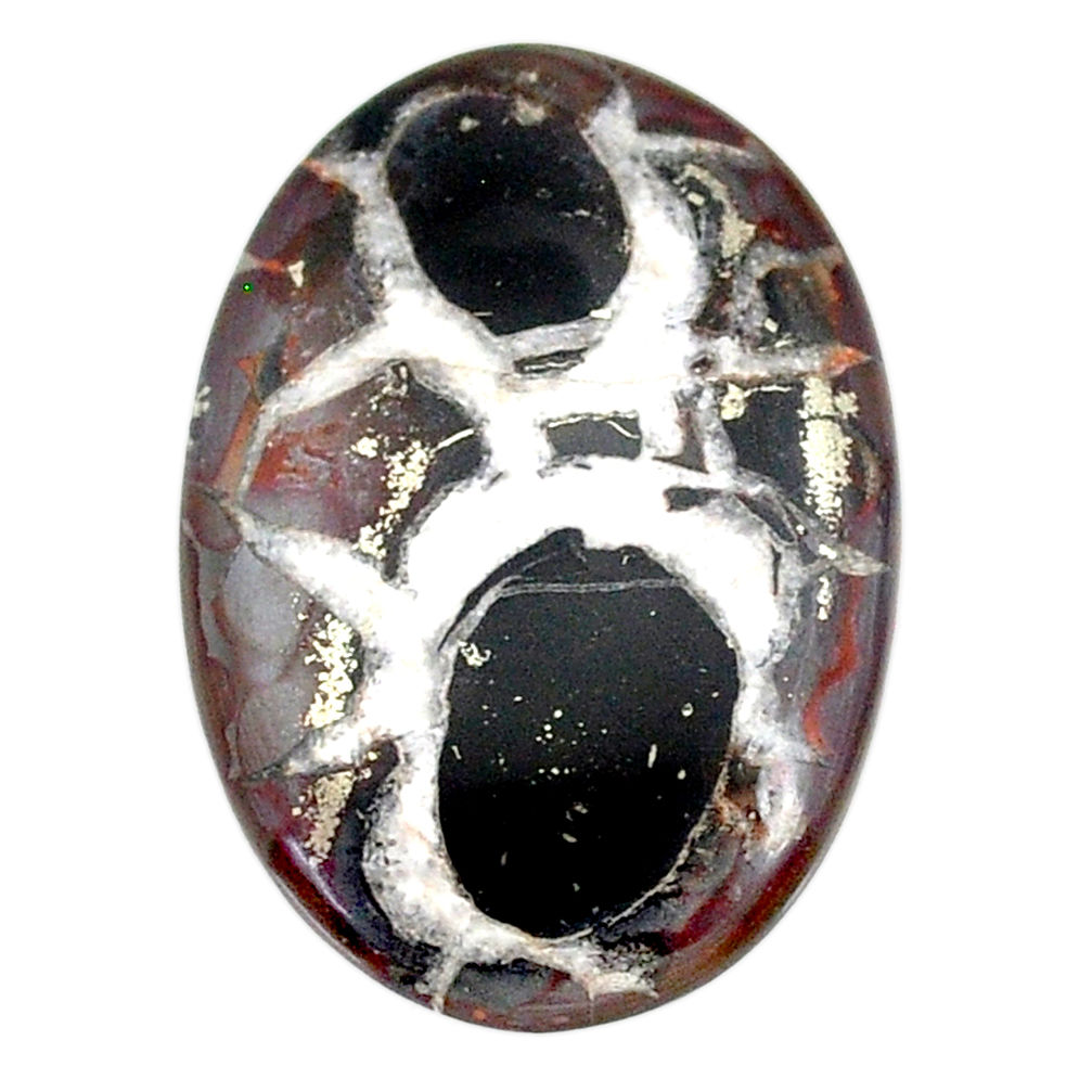 Natural 23.85cts septarian gonads black cabochon 32x22 mm loose gemstone s22514