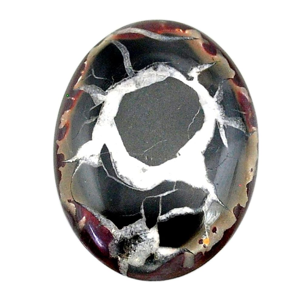 Natural 32.95cts septarian gonads black cabochon 32x23 mm loose gemstone s22508