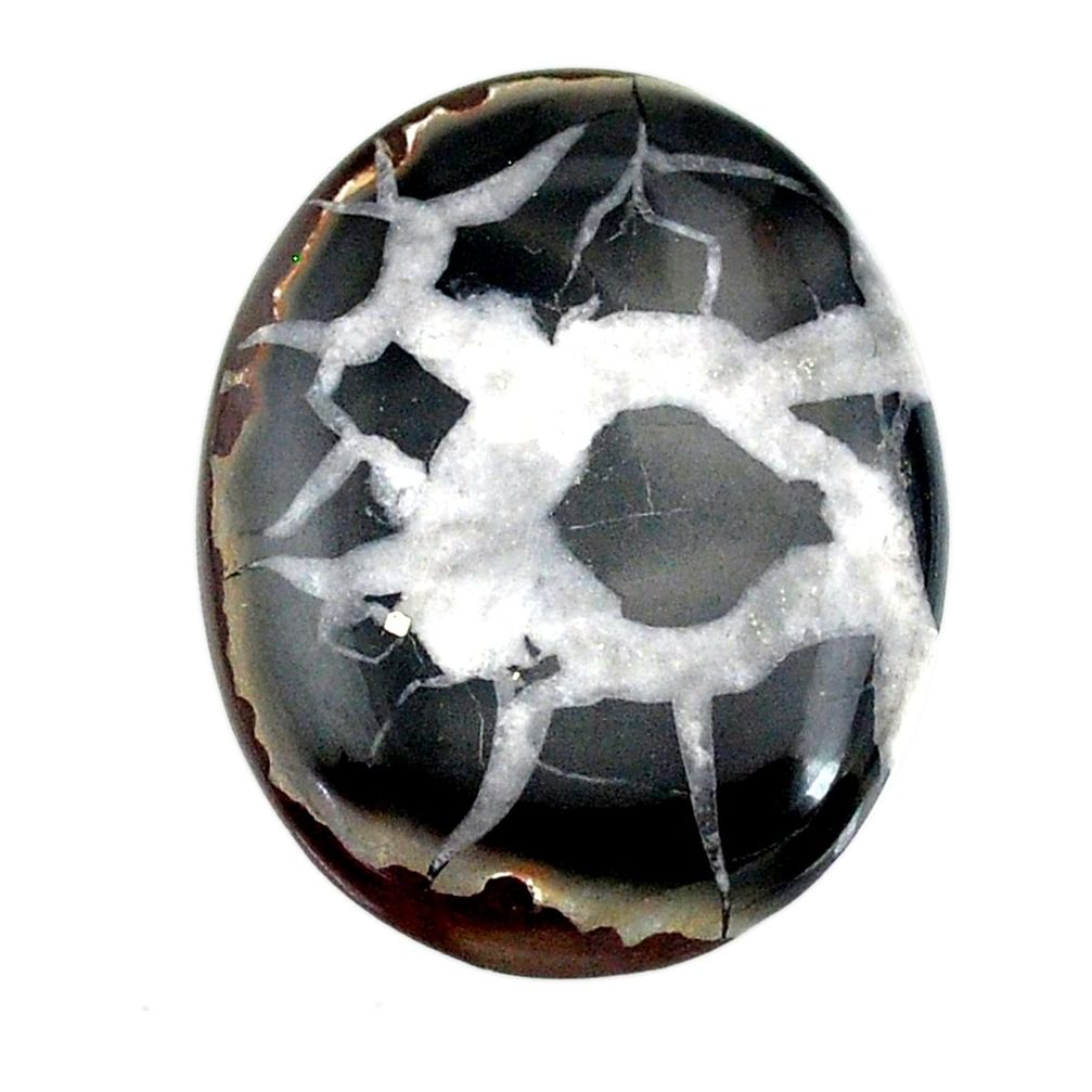 Natural 32.65cts septarian gonads black cabochon 32x25 mm loose gemstone s22507