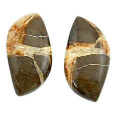 Natural 15.10cts septarian gonads brown 21x10 mm pair loose gemstone s25127