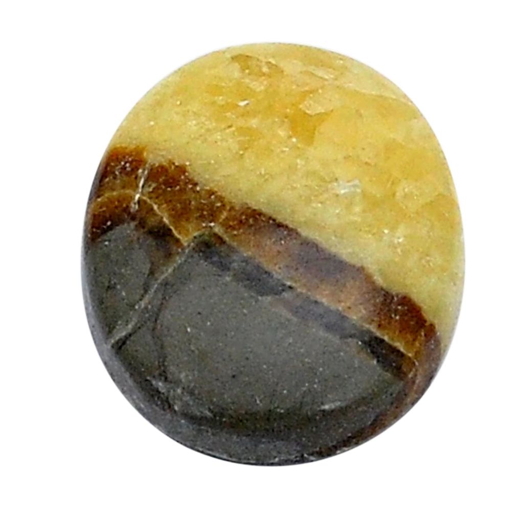Natural 14.35cts septarian gonads brown cabochon 21x16 mm loose gemstone s28971