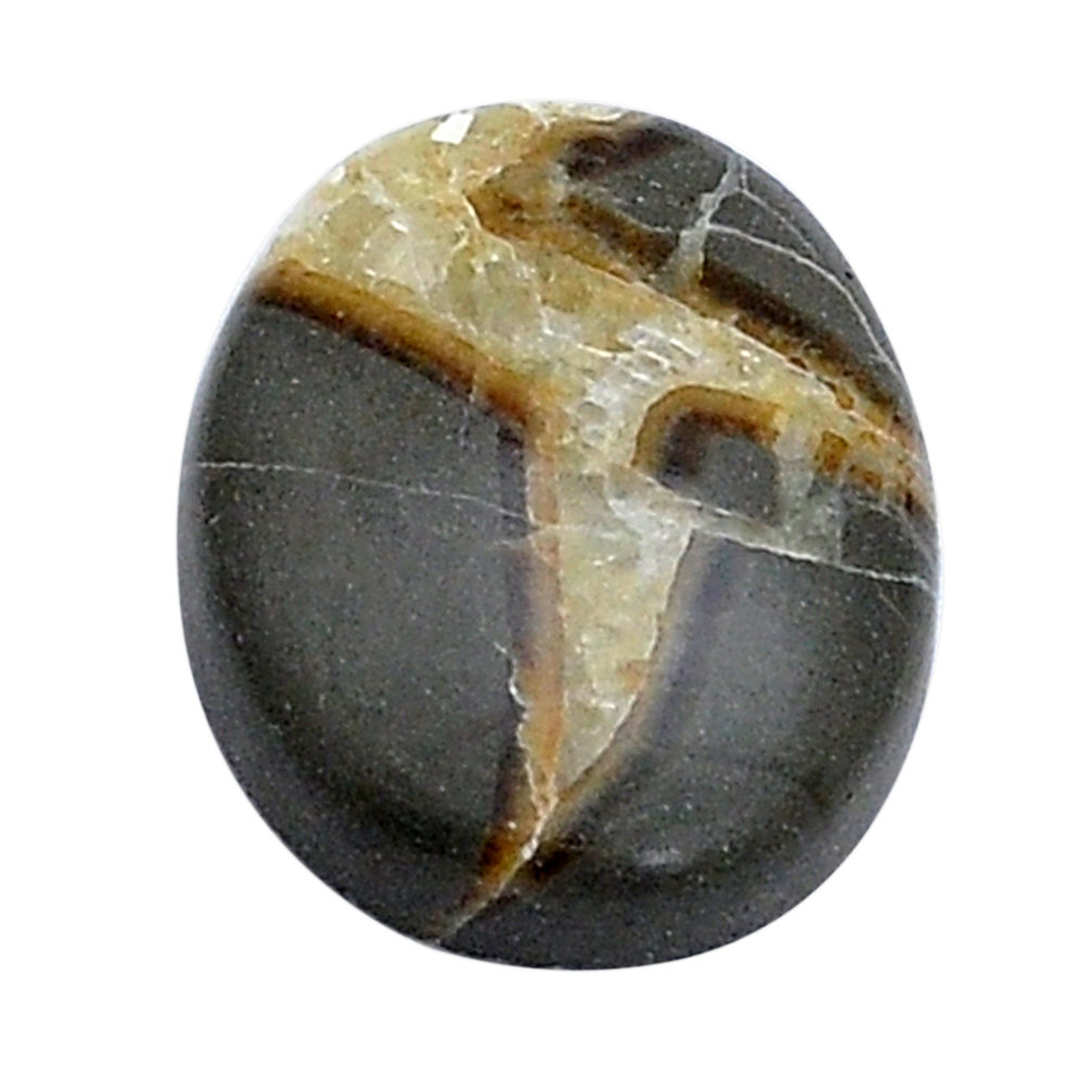 Natural 14.15cts septarian gonads brown cabochon 21x16 mm loose gemstone s28972
