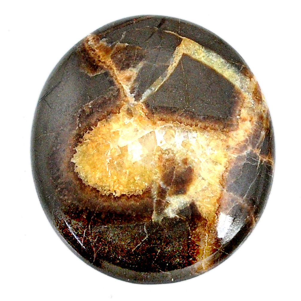 Natural 41.95cts septarian gonads cabochon 34x30 mm oval loose gemstone s20961