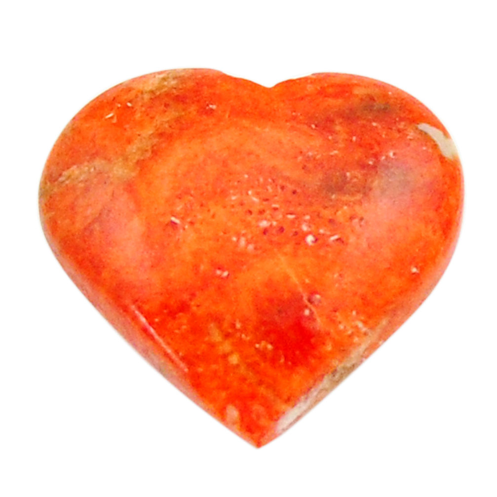 Natural 6.25cts sponge coral red cabochon 16x15 mm heart loose gemstone s17864