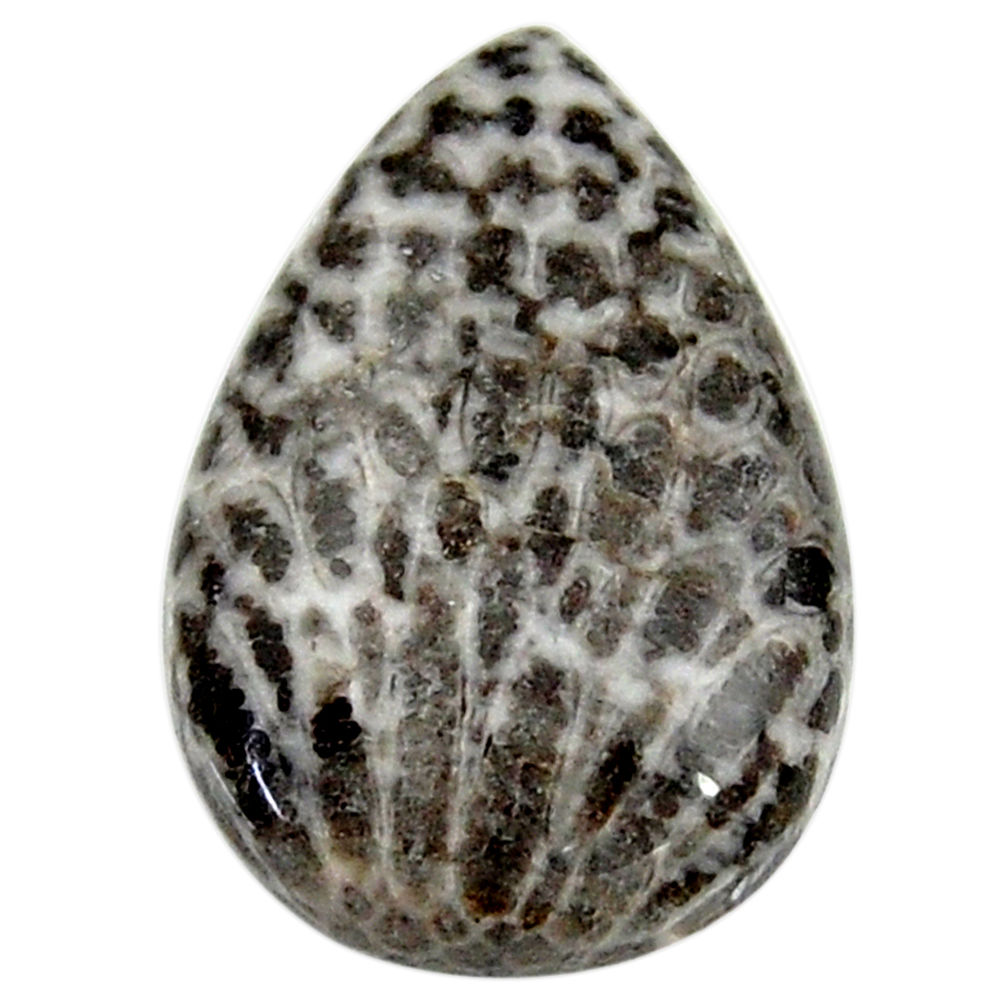Natural 12.40cts stingray coral alaska black cabochon 22x15mm pear loose s18772