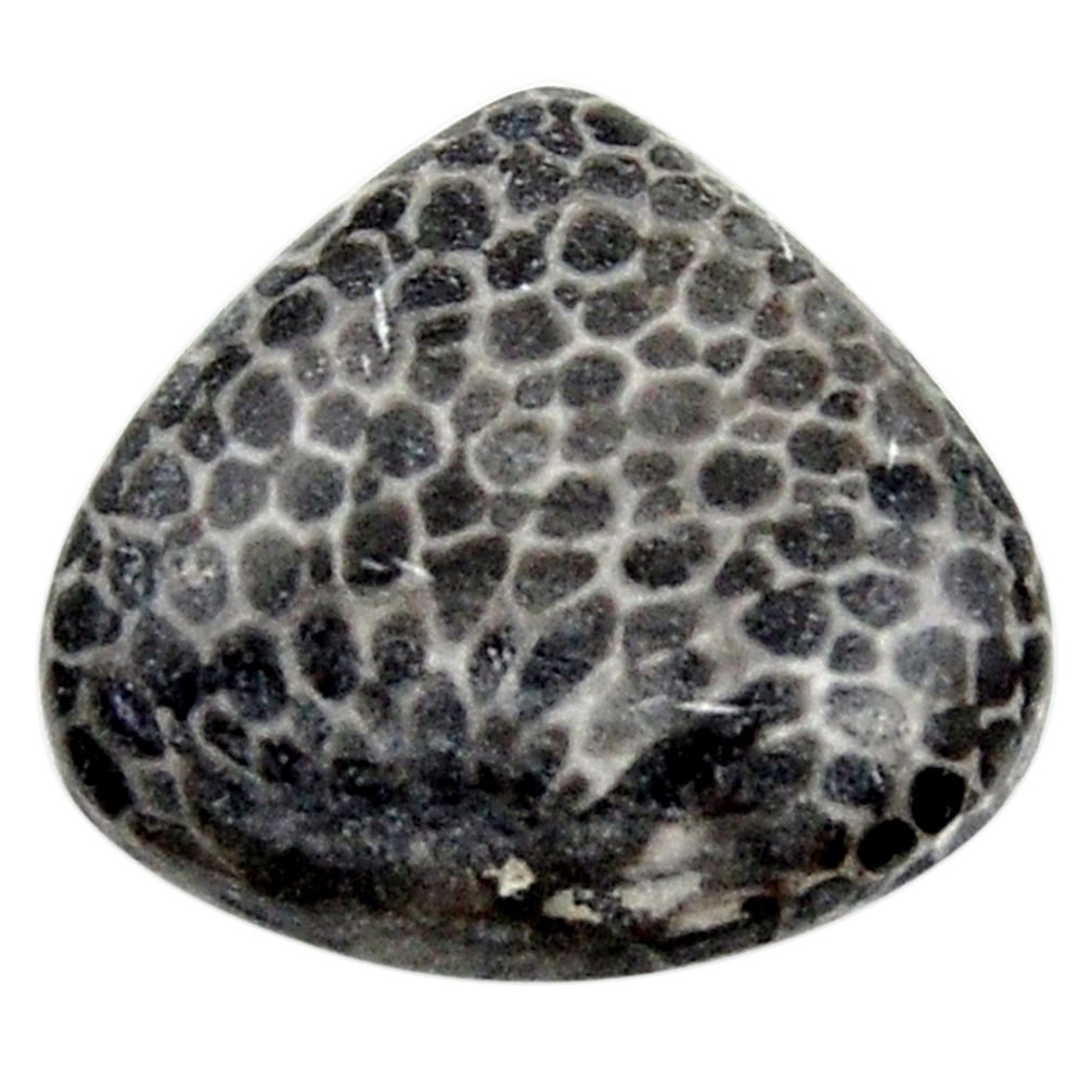 Natural stingray coral alaska cabochon 17.5x17 mm heart loose gemstone s18774