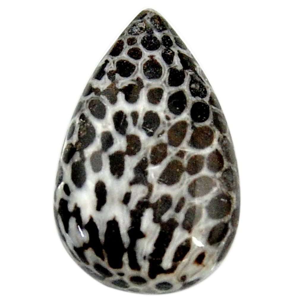 Natural stingray coral alaska cabochon 23x14 mm pear loose gemstone s18775