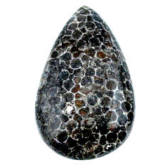 Natural 19.05cts stingray coral from alaska 26x15 mm pear loose gemstone s23154