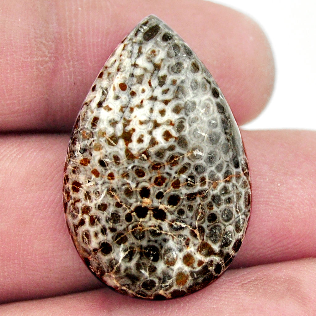 Natural 25.30cts stingray coral from alaska 29x19 mm pear loose gemstone s17938