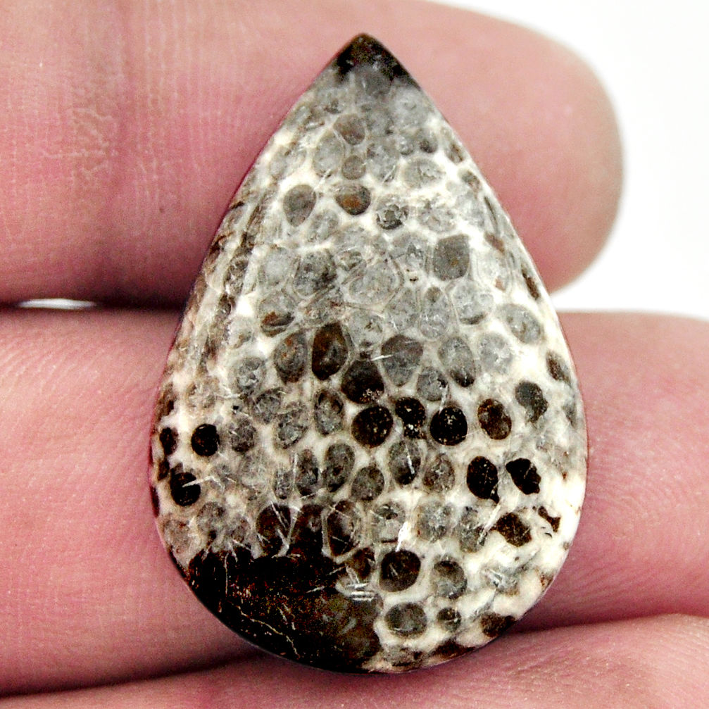 Natural 22.40cts stingray coral from alaska 29x20 mm pear loose gemstone s17935